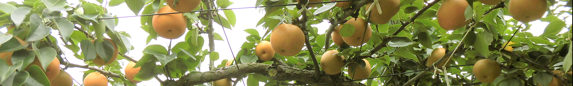 お問合せはこちらイメージ