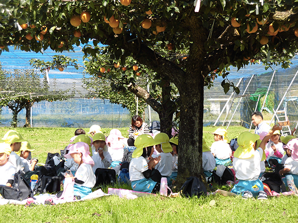 なし狩りイメージ画像