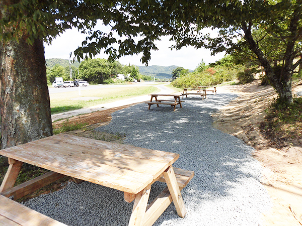 けや木の下画像